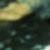 Ibexa